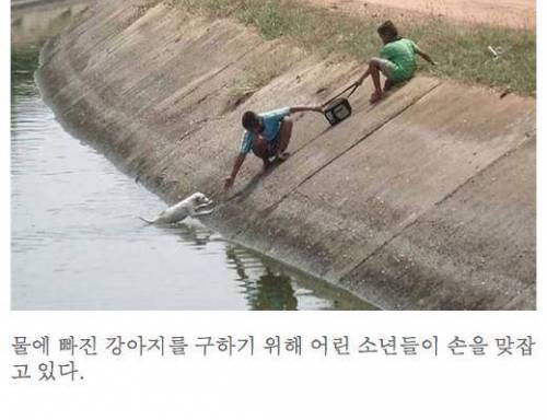 동물을 도와주는 사람들.jpg