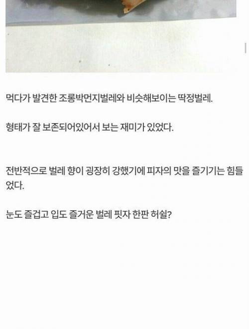 [혐혐] 호불호 갈리는 피자.jpg