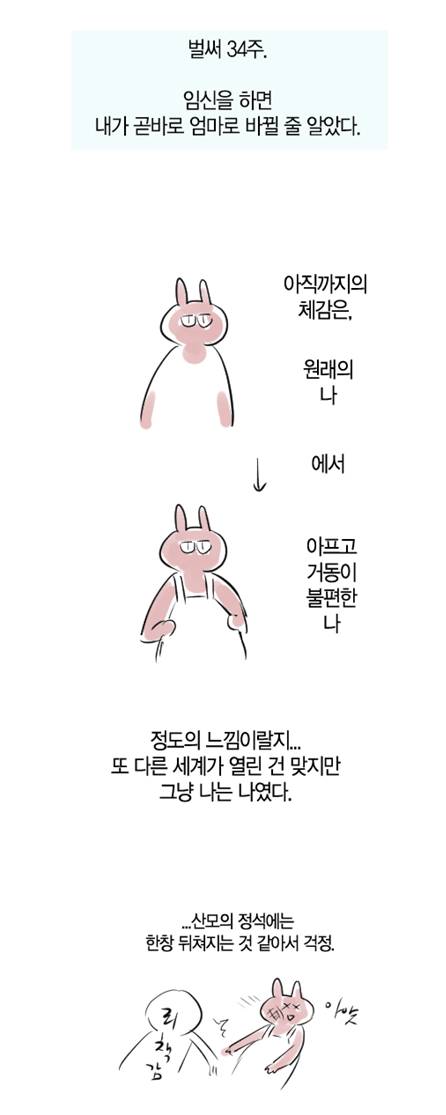 임신의 이상과 현실.jpg