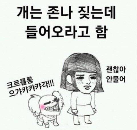 개 키우는 친구 특징.jpg