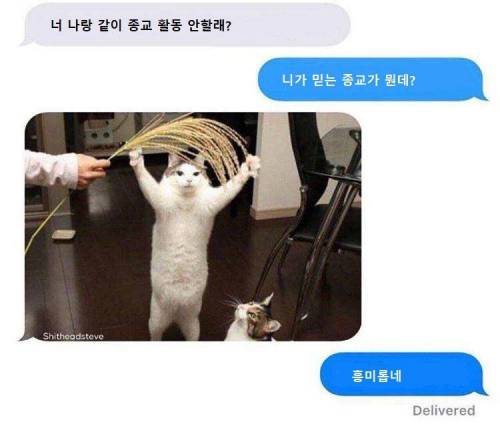 포교활동.jpg