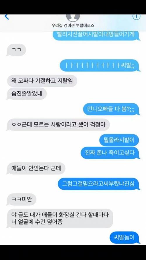 코파다 잠들었는데.jpg