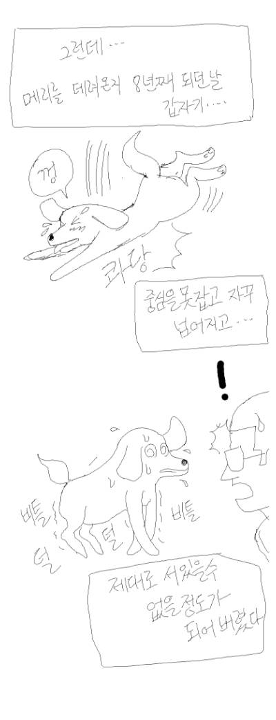 [스압]개 키우는 만화....jpg