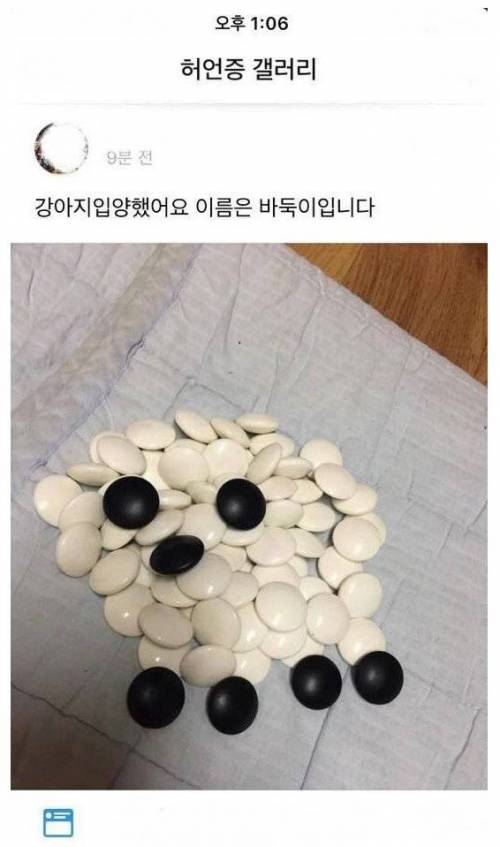 강아지 입양했어요.jpg