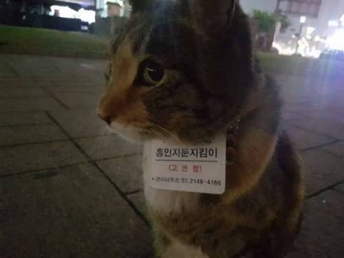 흥인지문 지킴이.jpg