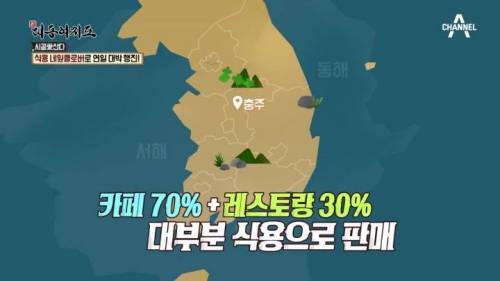 네잎클로버로 연매출10억