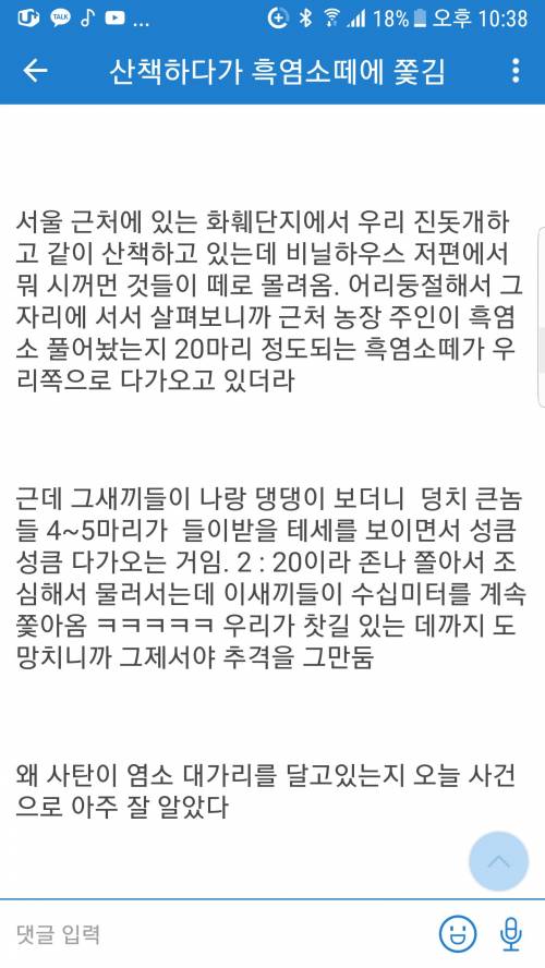 염소한테 쫒긴 멍갤러.jpg