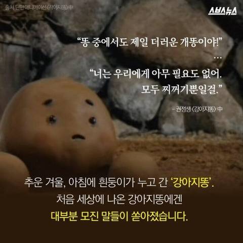 강아지똥을 따라 별이 된 작가 故 권정생