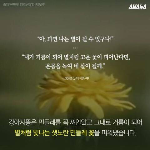 강아지똥을 따라 별이 된 작가 故 권정생