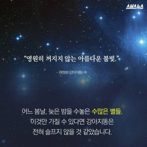 강아지똥을 따라 별이 된 작가 故 권정생