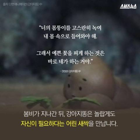 강아지똥을 따라 별이 된 작가 故 권정생