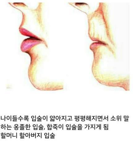 나이먹을수록 급격하게 차이나는 것.jpg