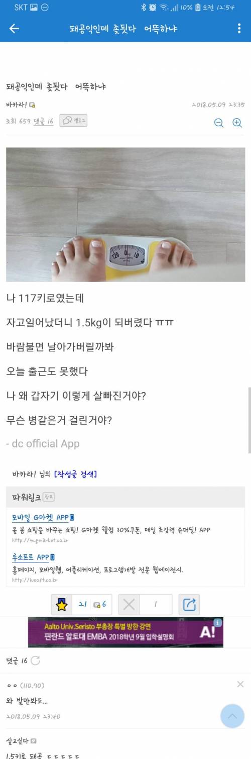 공익갤의 팅커벨.jpg