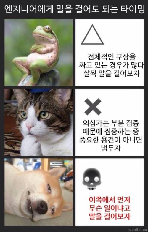 개발자한테 언제 말을 걸어야 할까?