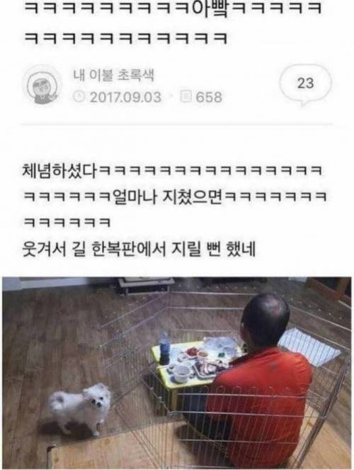 멍멍이에 지친 아버지 JPG