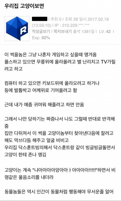 몸을 사리지 않는 고양이 교육법.jpg