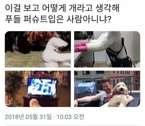 공포의 견종.jpg