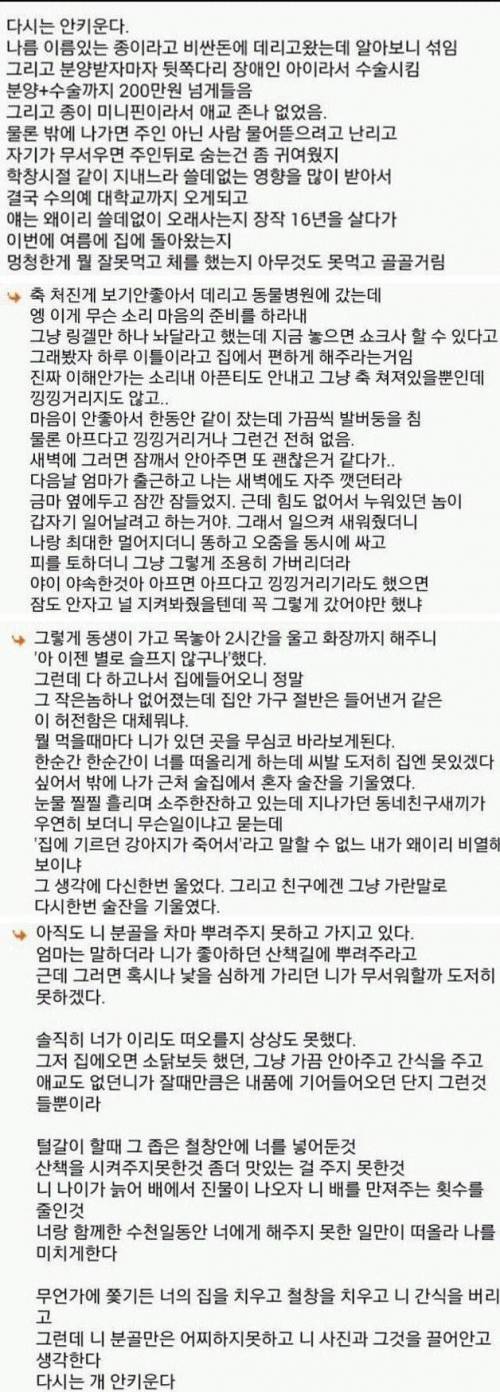 두번 다신 개 안 키운다.jpg