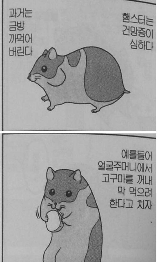 건망증 심한 햄스터.jpg