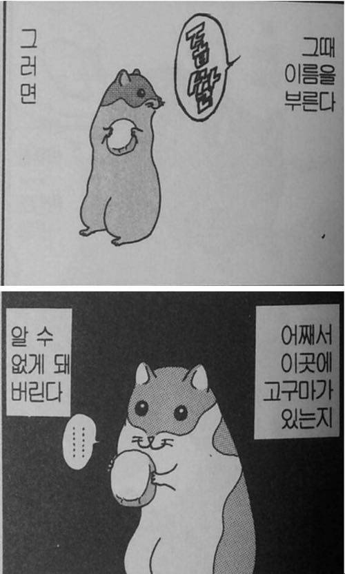 건망증 심한 햄스터.jpg