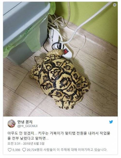 아무도 안 믿겠지.....jpg