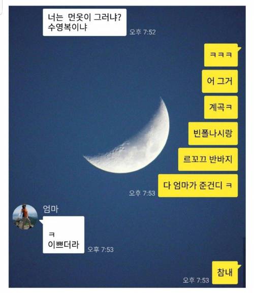 셀룰라.jpg