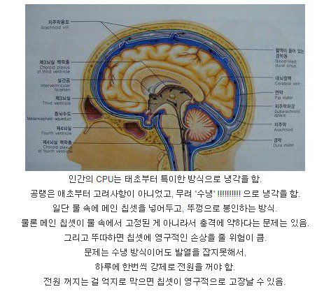 인간이 가진 CPU의 냉각방식.jpg