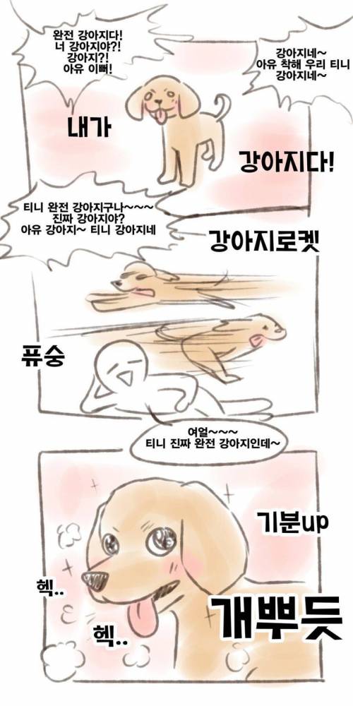 댕댕이 기분up 시키는 방법.jpg