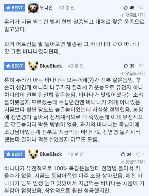 바나나 멸종 막을 야생 바나나 5그루밖에 안 남아.jpg