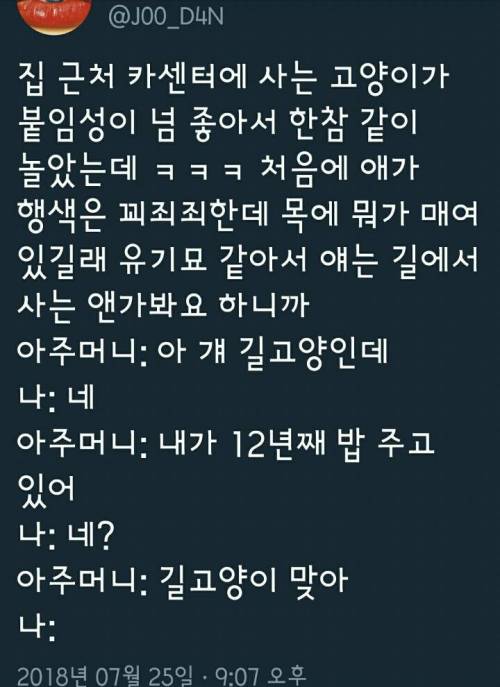 12년 째 밥주는 길냥이.jpg