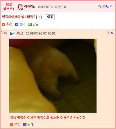 햄스터 엉덩이.jpg