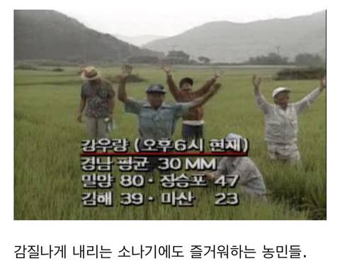 사상 최악의 폭염이 있었던 1994년 여름 풍경.jpg