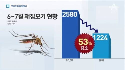 한국 더위는 모기도 포기한다.jpg