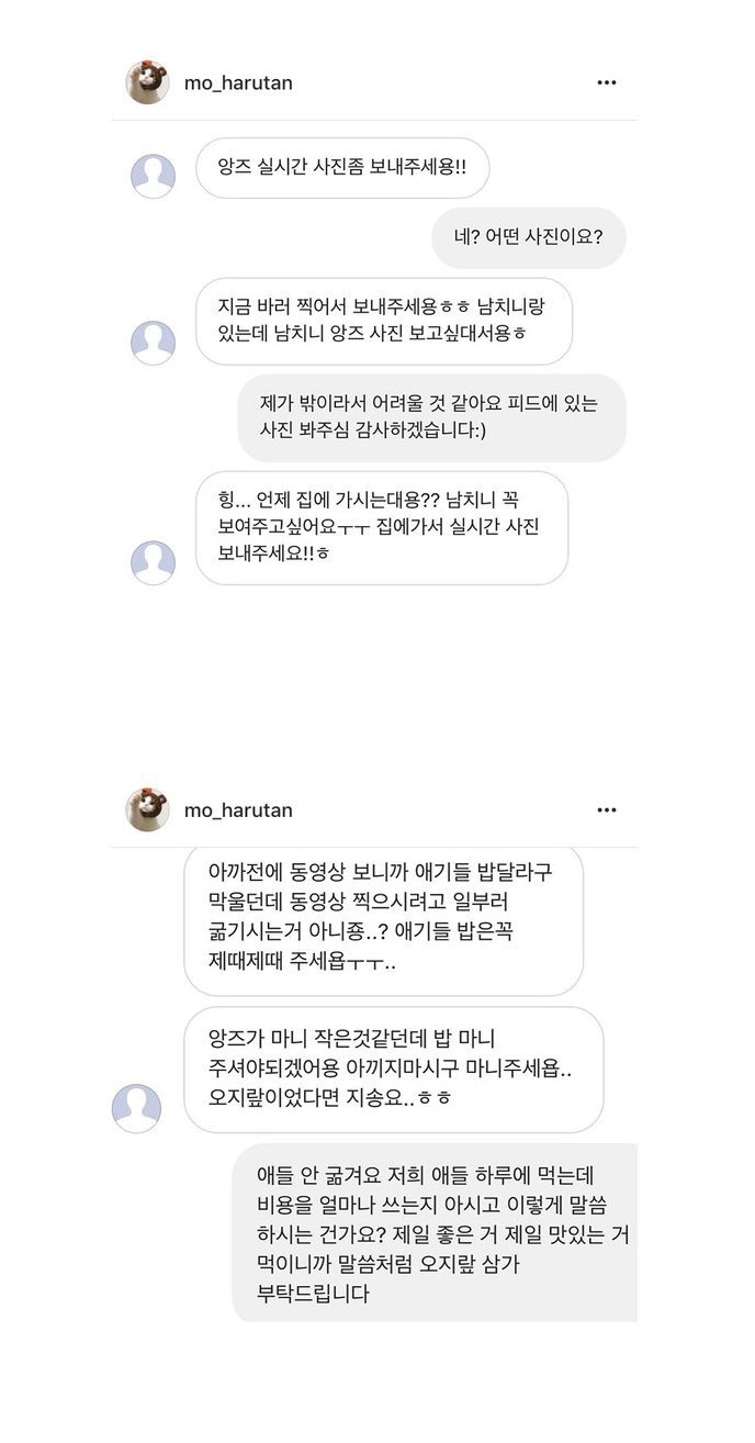 유명 고양이 인스타 주인이 받는 DM