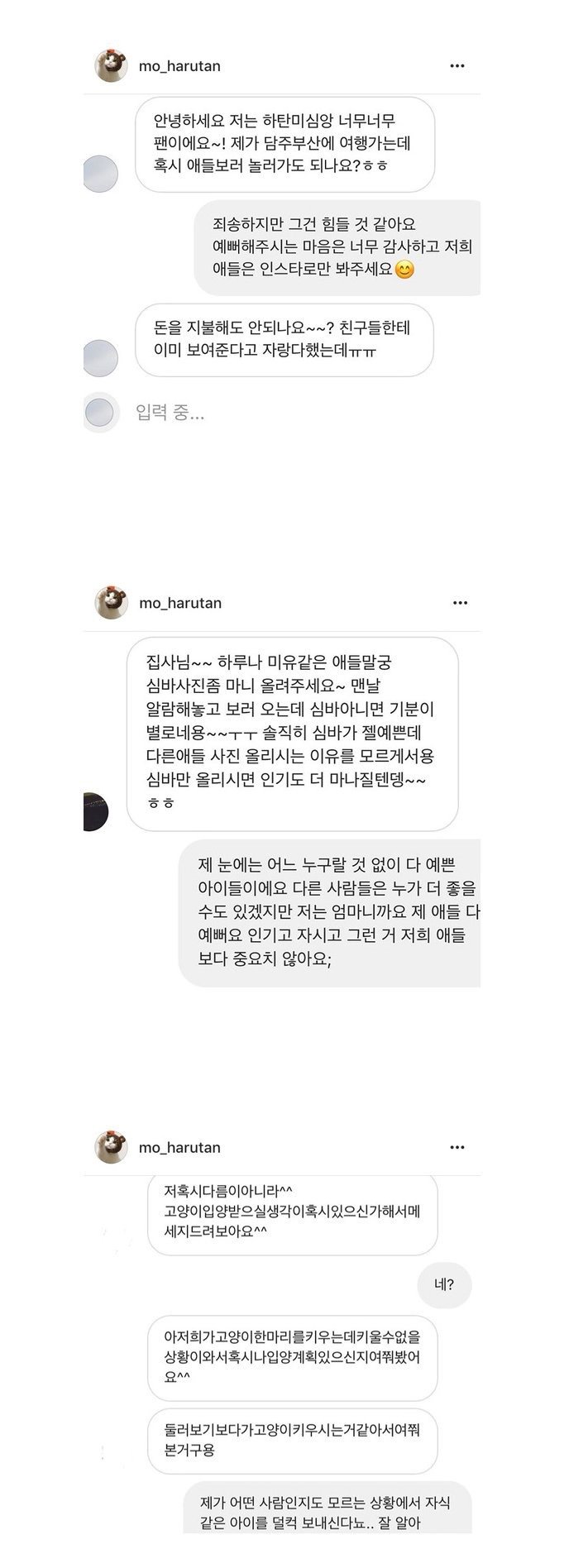 유명 고양이 인스타 주인이 받는 DM