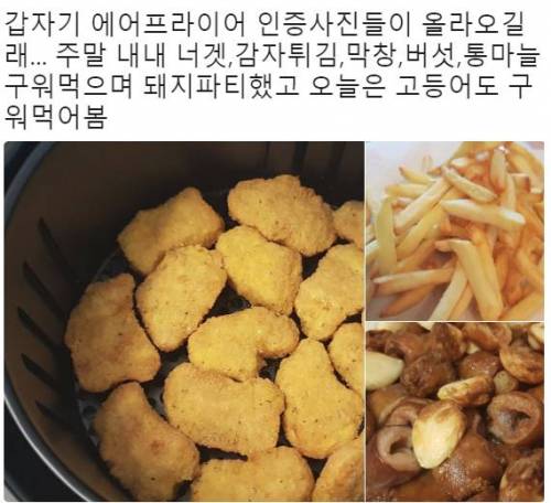 꾸준히 트위터에서 핫한 주방가전.jpg