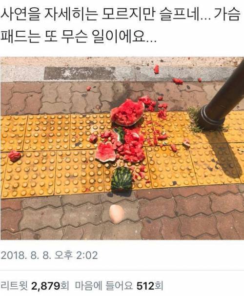 깨진 수박 미스테리.jpg