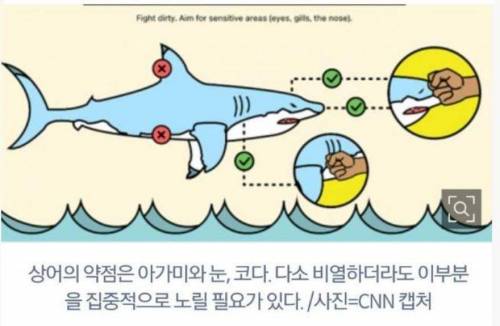 비열하지만 살려면..jpg