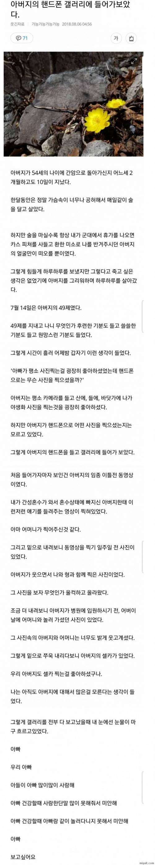 아버지 핸드폰 갤러리에 들어가 보았다