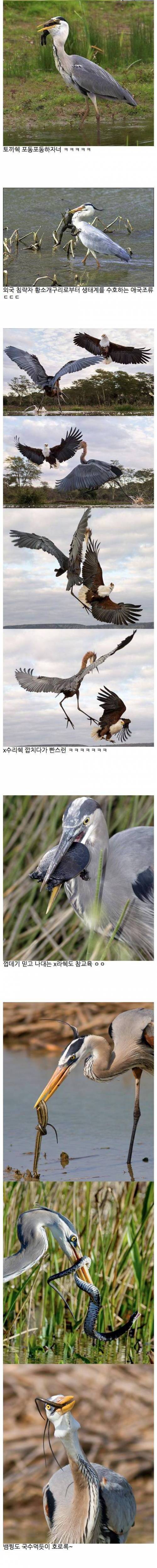 생태계......숨은 실력자......jpg