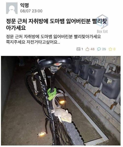 도마뱀 잃어버리신분 찾아가세요.jpg