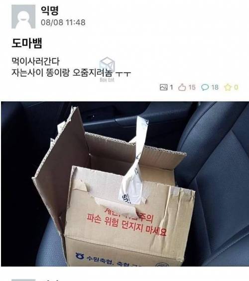 도마뱀 잃어버리신분 찾아가세요.jpg