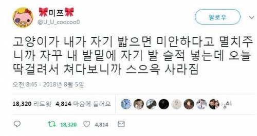 자해공갈.jpg