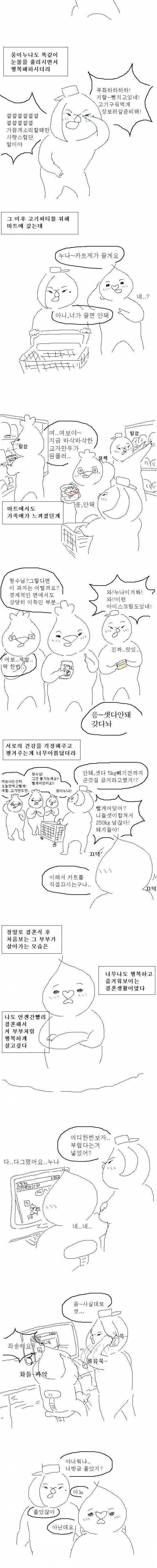 나 얼마전에 행복한 결혼생활 구경한 만화