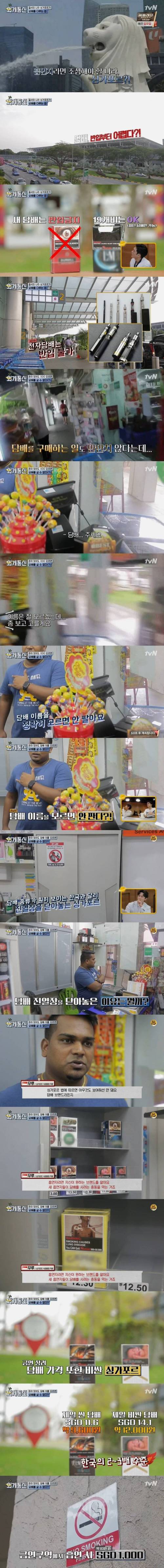 싱가폴 흡연 규제.jpg