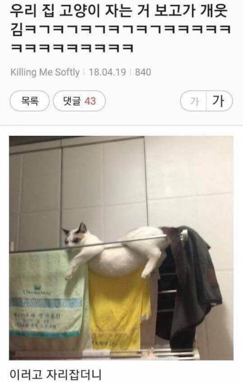 빨냥 건조대.jpg