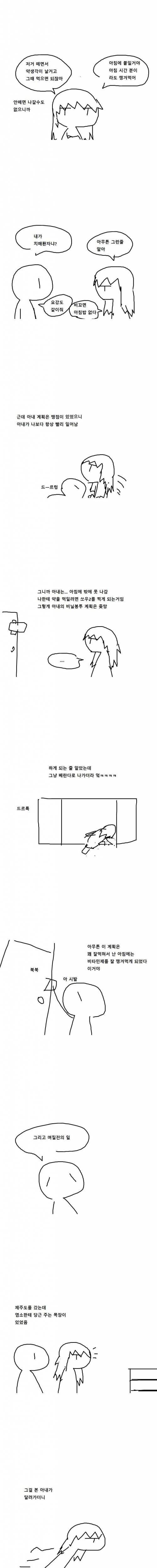 비타민을 좋아하는 아내 만화.jpg