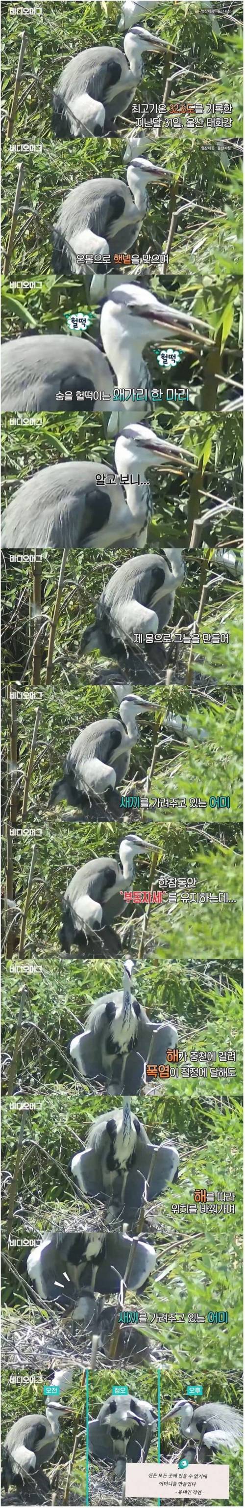 신은 모든 곳에 있을 수 없기에..