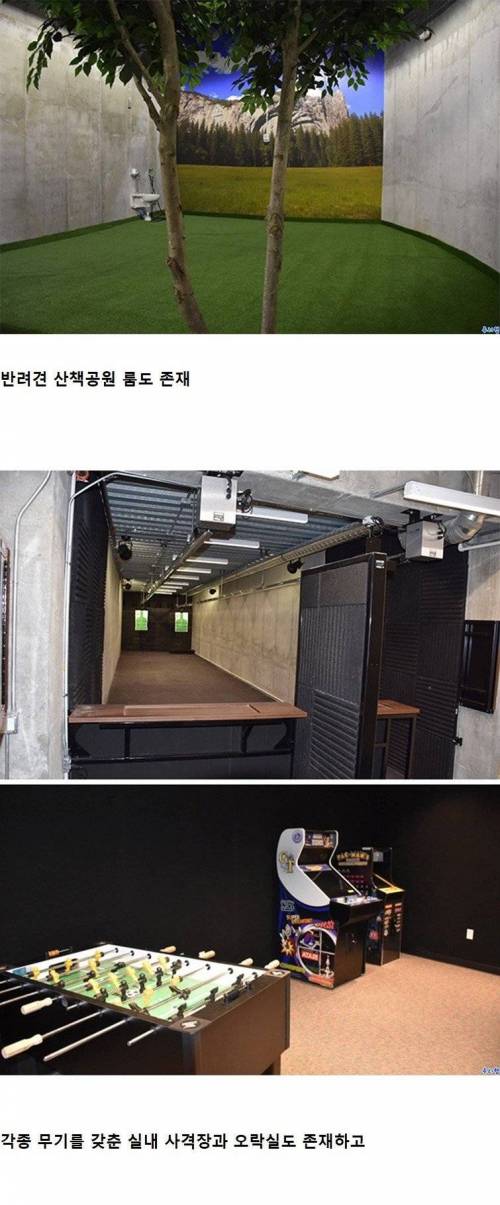 미국의 서바이벌 콘도 프로젝트.jpg