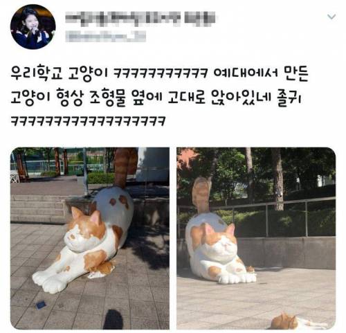 고양이 조형물 옆 고양이.jpg